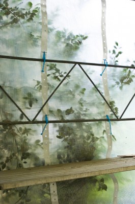 NOVO DEJAN JOVANOVIC