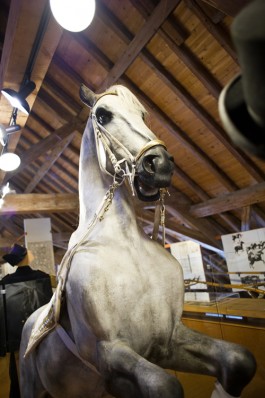 NOVO DEJAN JOVANOVIC