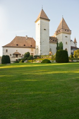 NOVO DEJAN JOVANOVIC