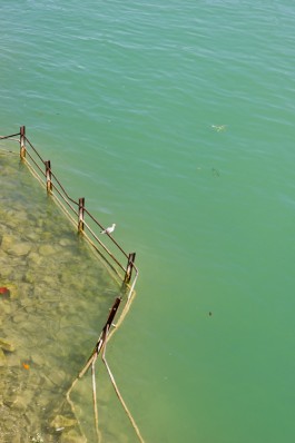 NOVO DEJAN JOVANOVIC