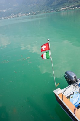 NOVO DEJAN JOVANOVIC