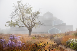 NOVO DEJAN JOVANOVIC