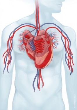 NOVO DEJAN JOVANOVIC