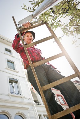 NOVO DEJAN JOVANOVIC