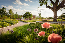 NOVO DEJAN JOVANOVIC