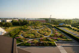 NOVO DEJAN JOVANOVIC