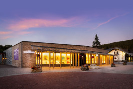 NOVO DEJAN JOVANOVIC