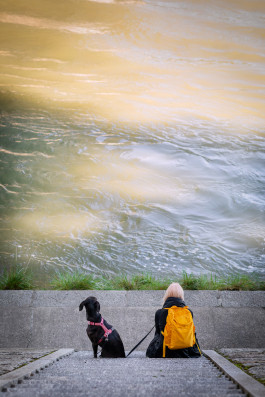 NOVO DEJAN JOVANOVIC