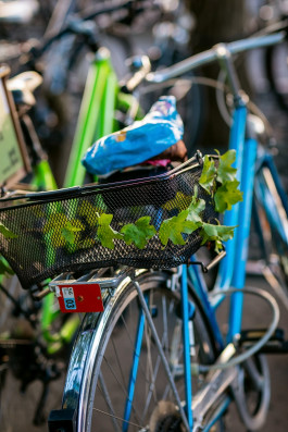 NOVO DEJAN JOVANOVIC