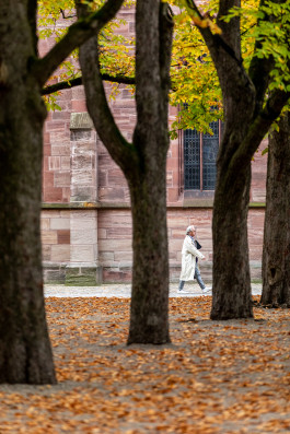 NOVO DEJAN JOVANOVIC