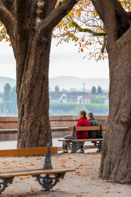 NOVO DEJAN JOVANOVIC