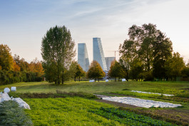 NOVO DEJAN JOVANOVIC