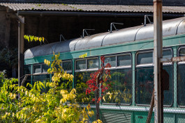 NOVO DEJAN JOVANOVIC