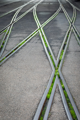 NOVO DEJAN JOVANOVIC