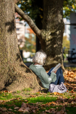 NOVO DEJAN JOVANOVIC
