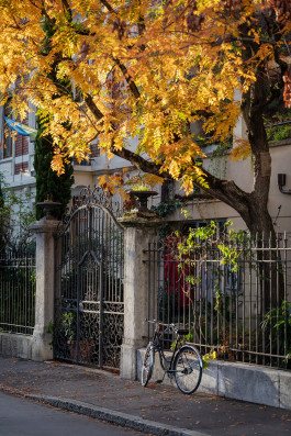 NOVO DEJAN JOVANOVIC